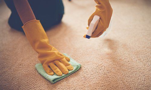 Stain removal on pile carpet