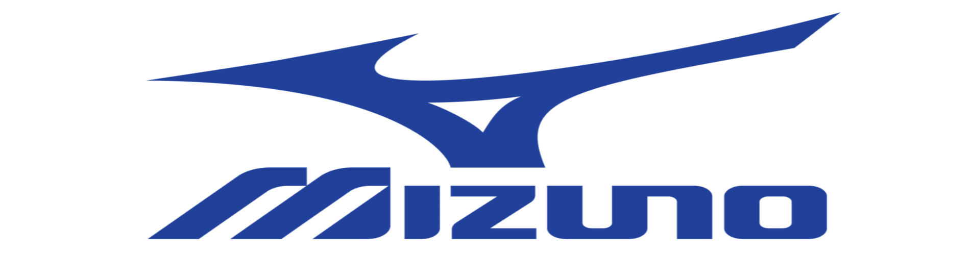 logo mizuno