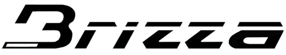 logo brizz