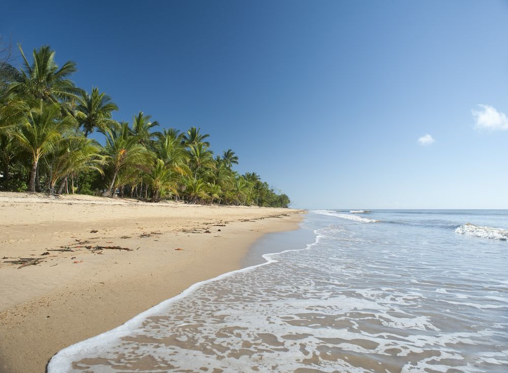 Sandy Beach With Palm Trees, Ocean Waves, And A Clear Blue Sky — Mears Construction & Training Pty Ltd in Mission Beach, QLD