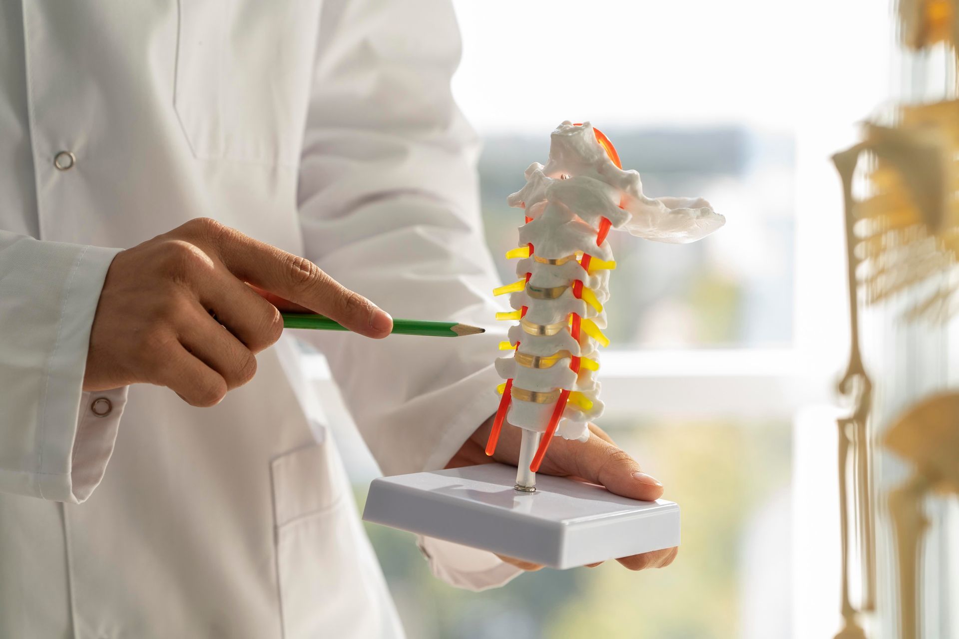 A doctor is holding a model of a spine and pointing at it.