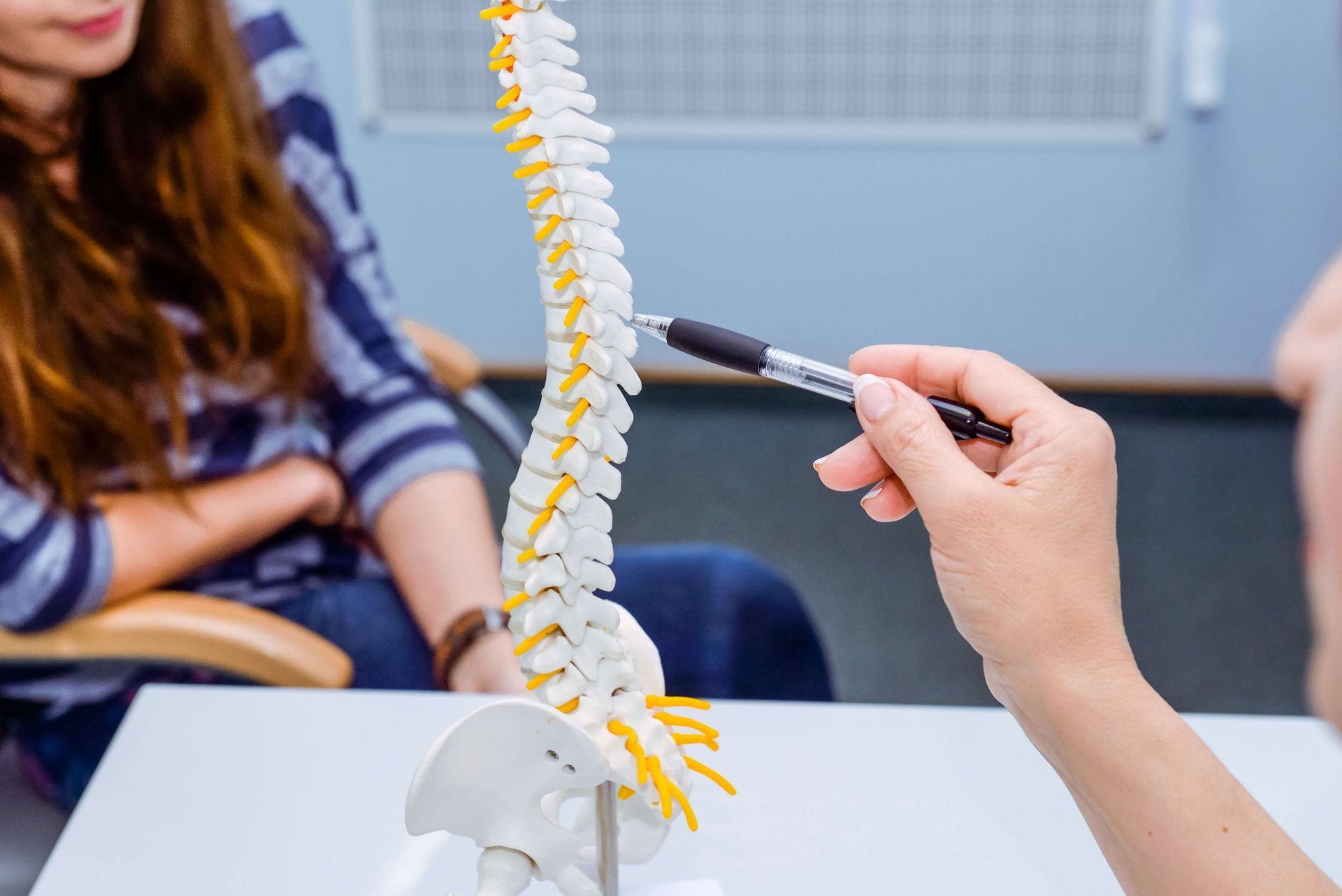 A person is pointing at a model of a spine with a pen.