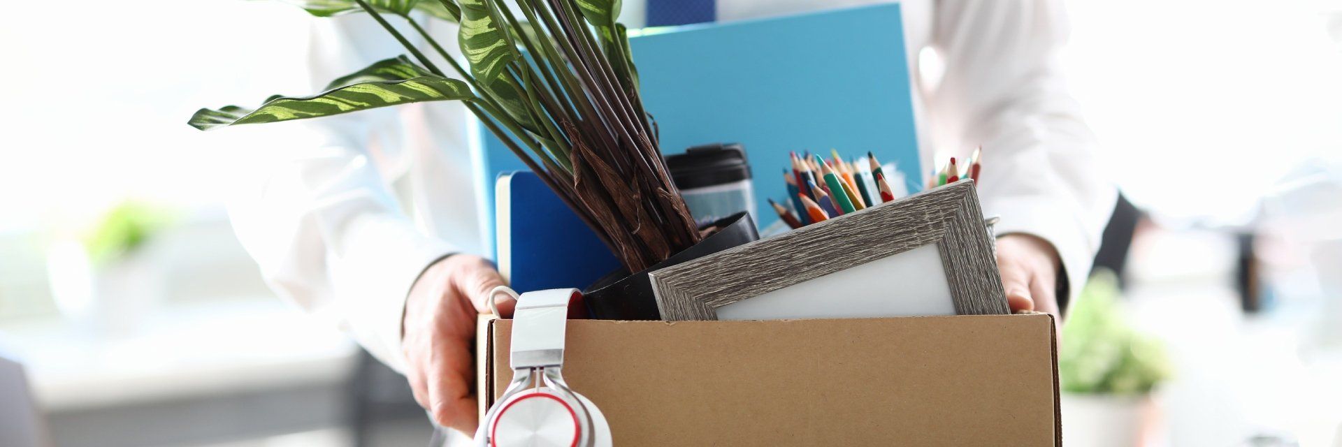 Licenziamento - Icona