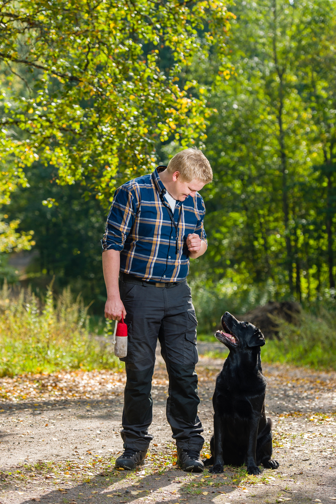  Dog Waste Removal Co 