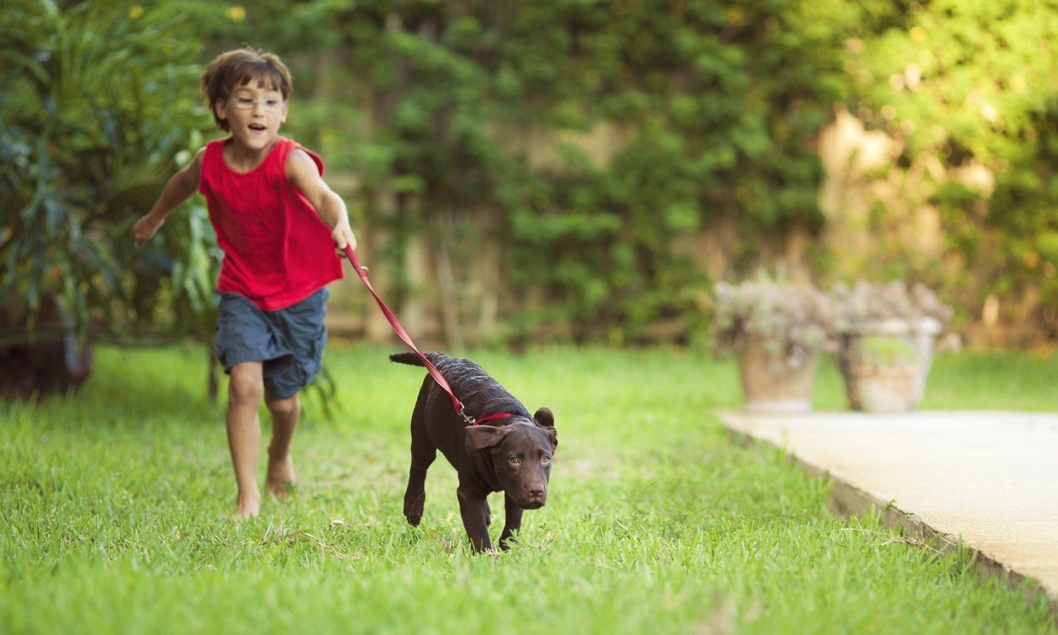 signs-of-a-stressed-dog-alpha-pet-waste