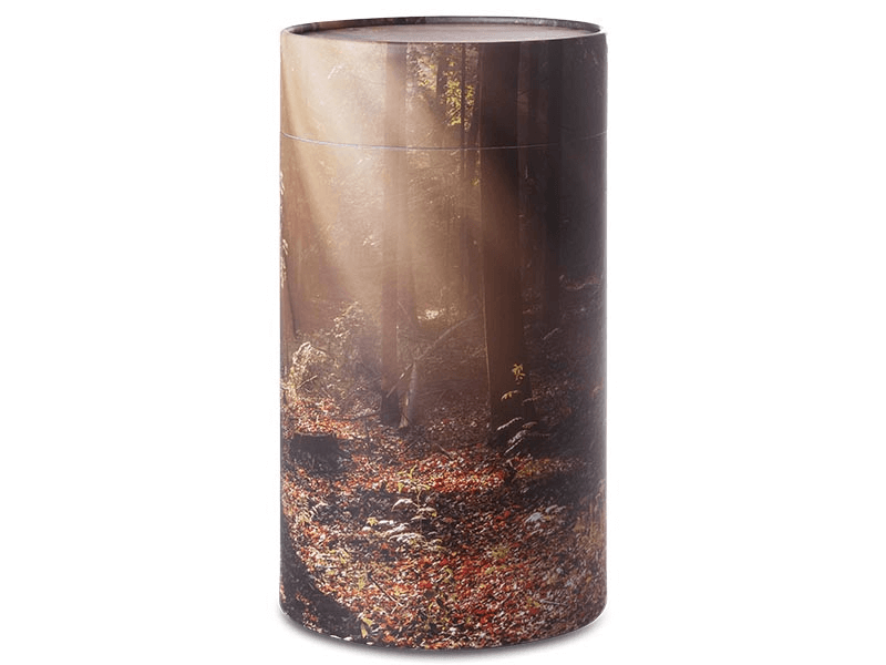 Cylindrical urn with a forest scene, brown leaves, sunbeams.