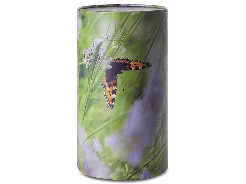 Butterfly with orange and black wings on a green background, wrapped around a cylinder.