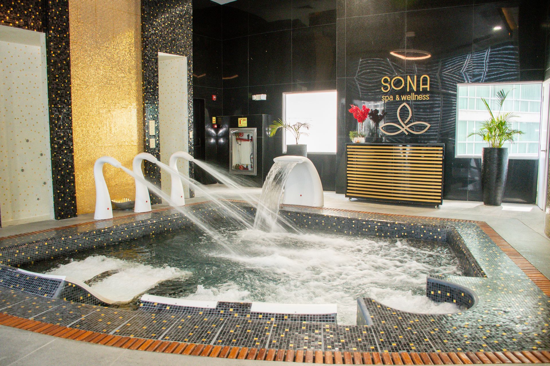 Sona Spa Hotel Golden Tower - Hotel