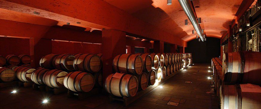 Moderna cantina di vini e distillati