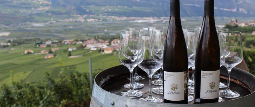Bottiglie di vino della cantina Hoffstatter
