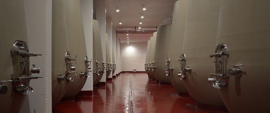 Interno di una cantina di vini