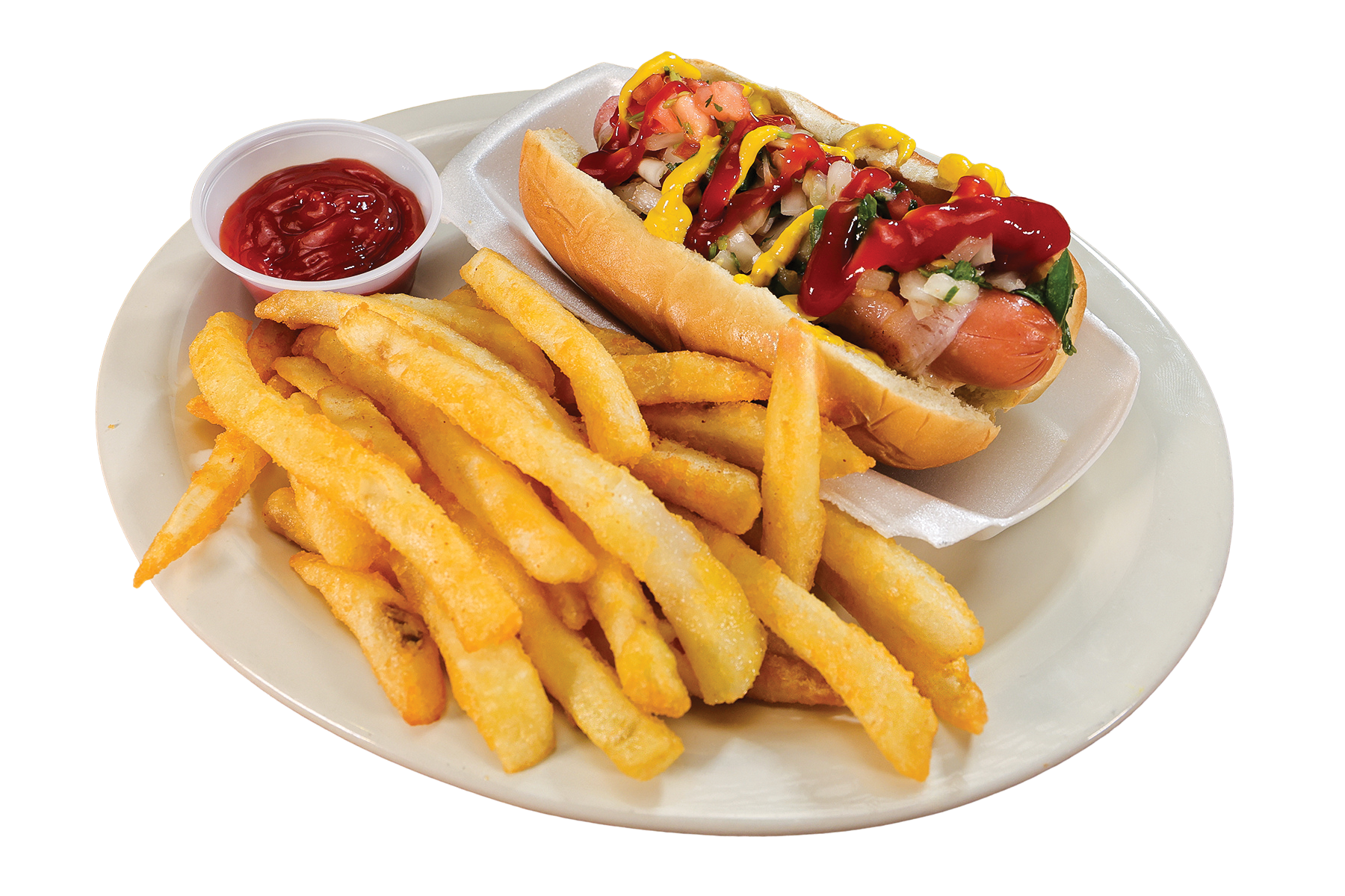 Toreros Hotdog and Fries