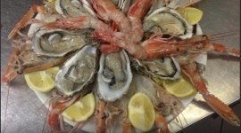 scampi e ostriche