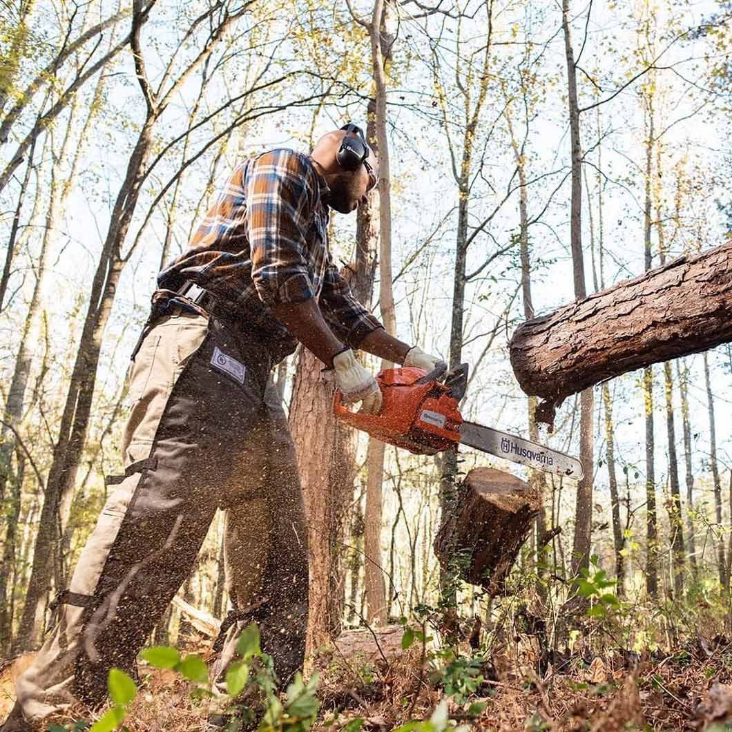 A Man Is Cutting a Tree with A Chainsaw in The Woods — CBS Chainsaw & Brushcutter Specialists - HUSQVARNA in Wauchope, NSW