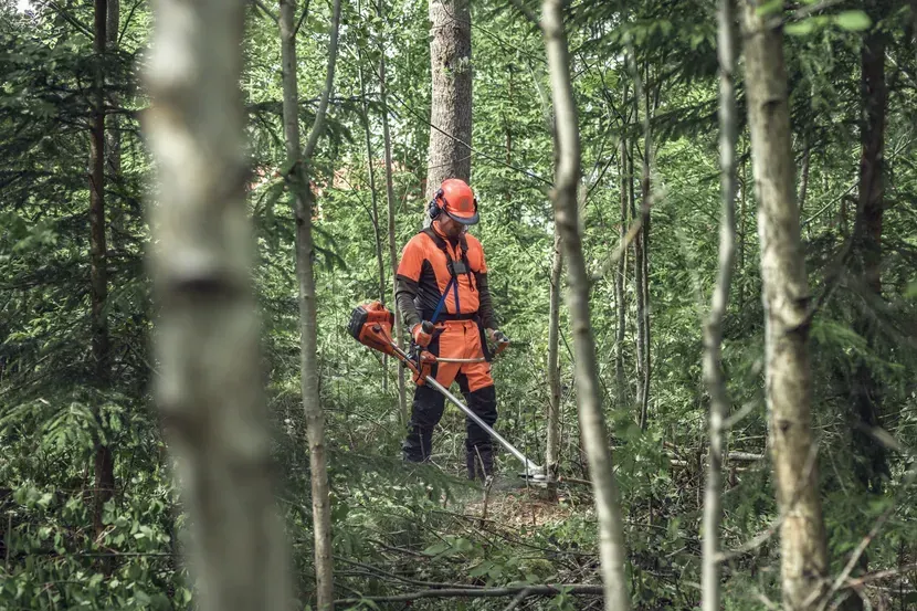 A Person Is Cutting Through The Forest With A Forestry Saw — CBS Chainsaw & Brushcutter Specialists - HUSQVARNA in Wauchope, NSW