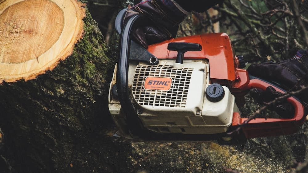 A Person Is Cutting a Tree with A Chainsaw — CBS Chainsaw & Brushcutter Specialists - HUSQVARNA in Harrington, NSW