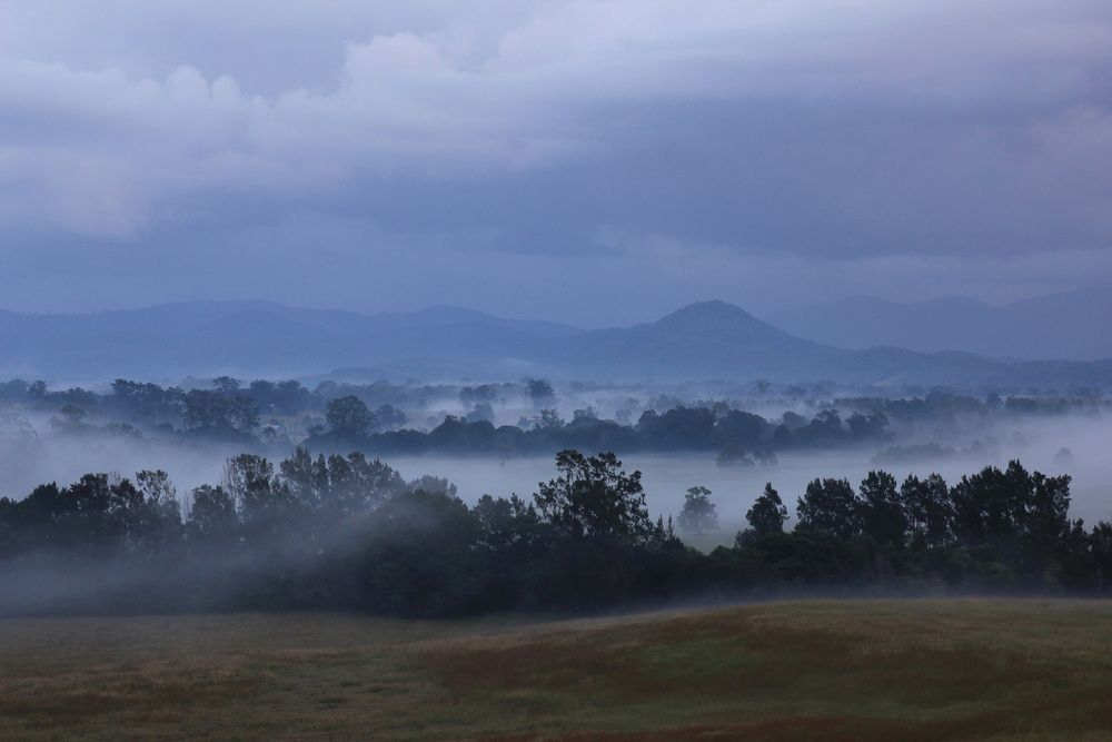 A Foggy Landscape With Trees and Mountains in the Background — CBS Chainsaw & Brushcutter Specialists - HUSQVARNA in Telegraph Point, NSW