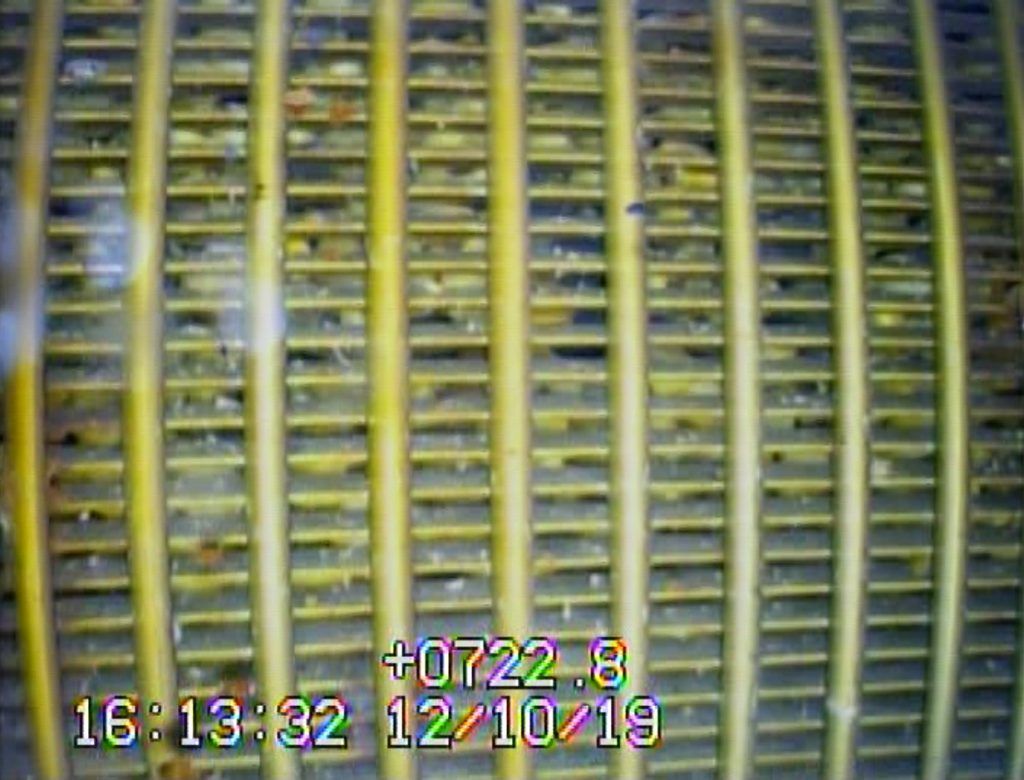 A close up of a yellow striped item with a time stamp of 16:33