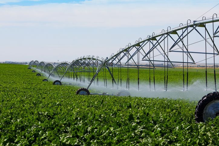 A row of irrigation systems are spraying water on a lush green field.