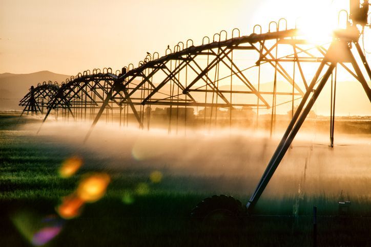 A sprinkler system is spraying water on a field at sunset