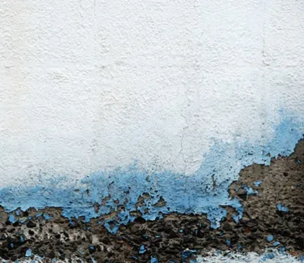 olores a humedad y manchas en la pintura de la fachada
