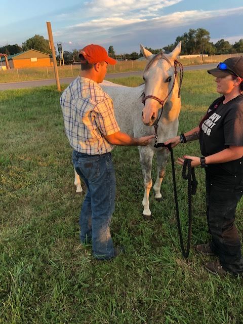 A man and a woman are standing next to a horse in a field.