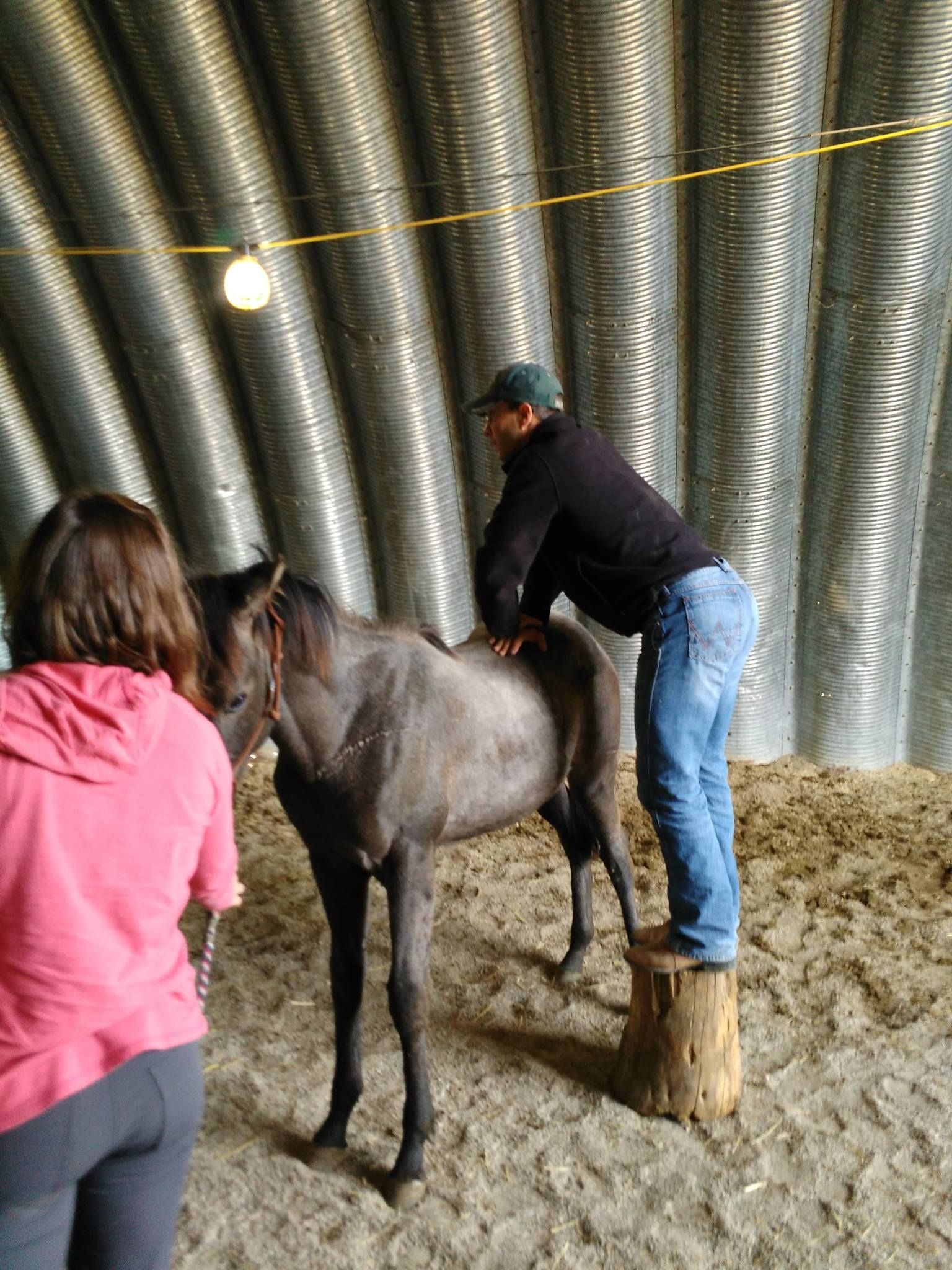 Two men are examining a dog in a kitchen.