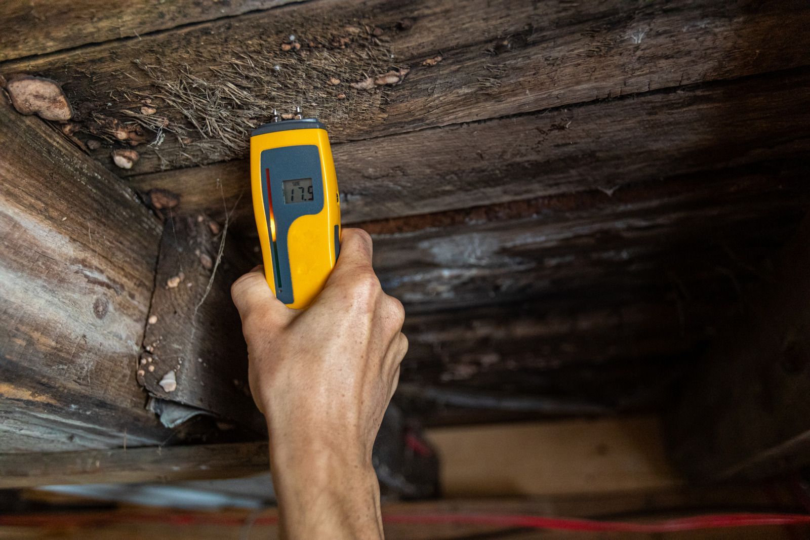 A person is using a digital thermometer to check the humidity of a wooden ceiling.