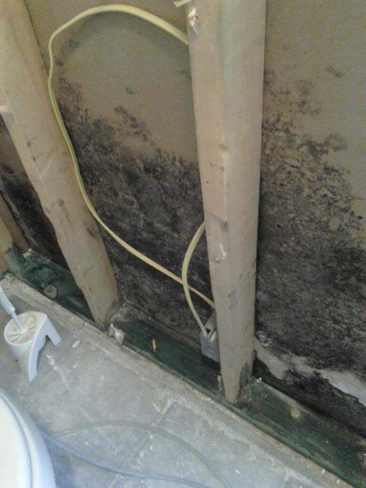 A bathroom with a toilet and a mouldy wall.