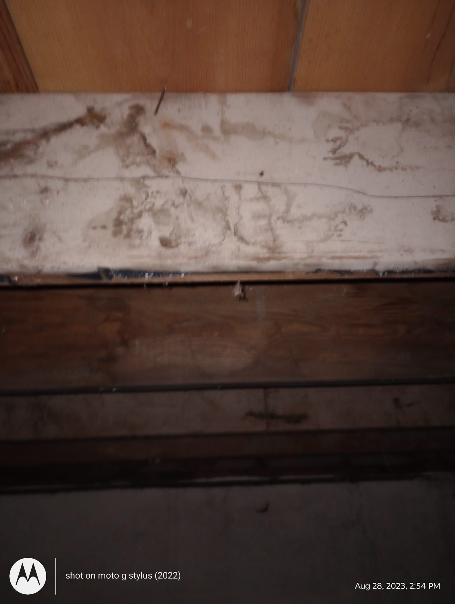 A motorola phone is taking a picture of a wooden surface.