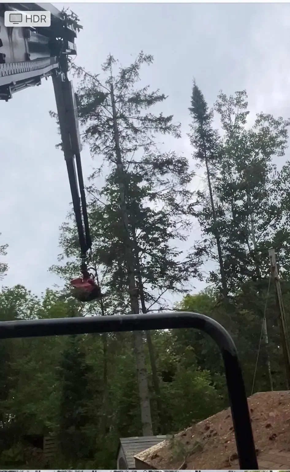 A crane is cutting a tree in the woods.