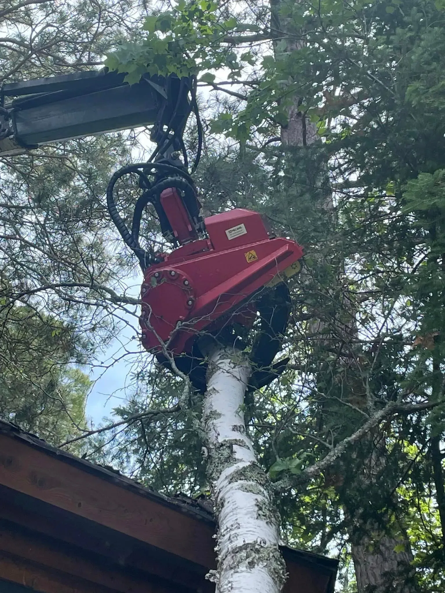 A red machine is cutting a tree in the woods.