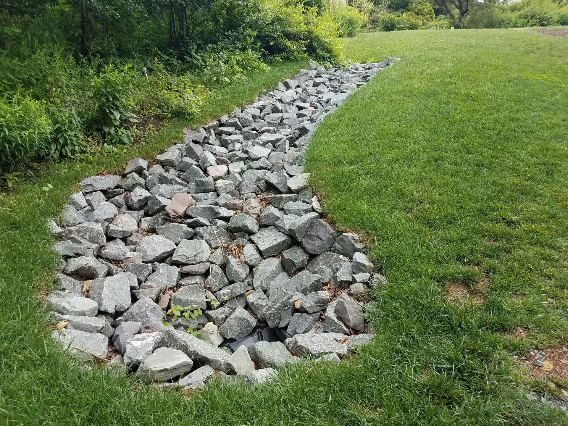 A stream of rocks runs through a lush green field.