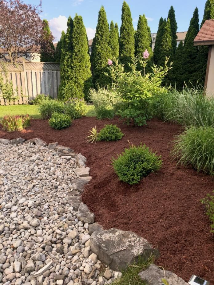 A garden with rocks, mulch, and trees in it.