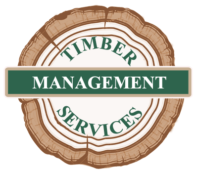 Timber  Management Services Logo