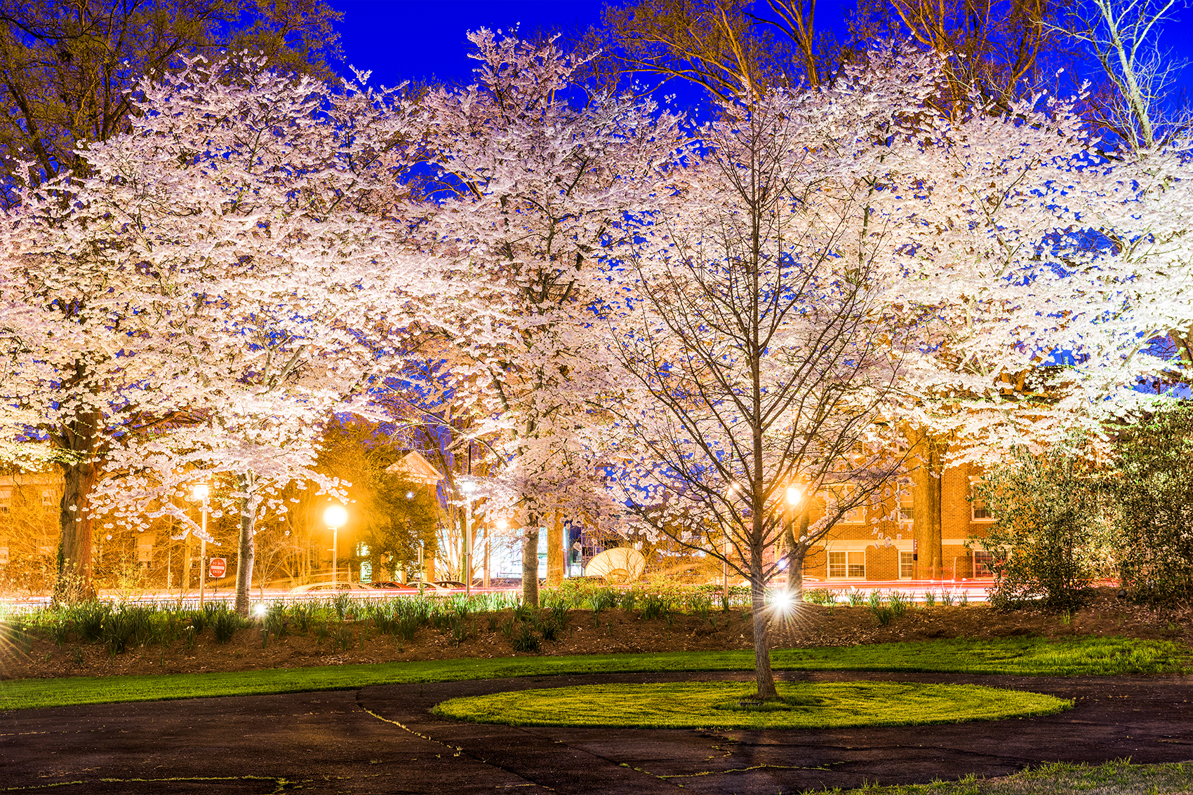 The front door of a house with a porch and plants in front of it.