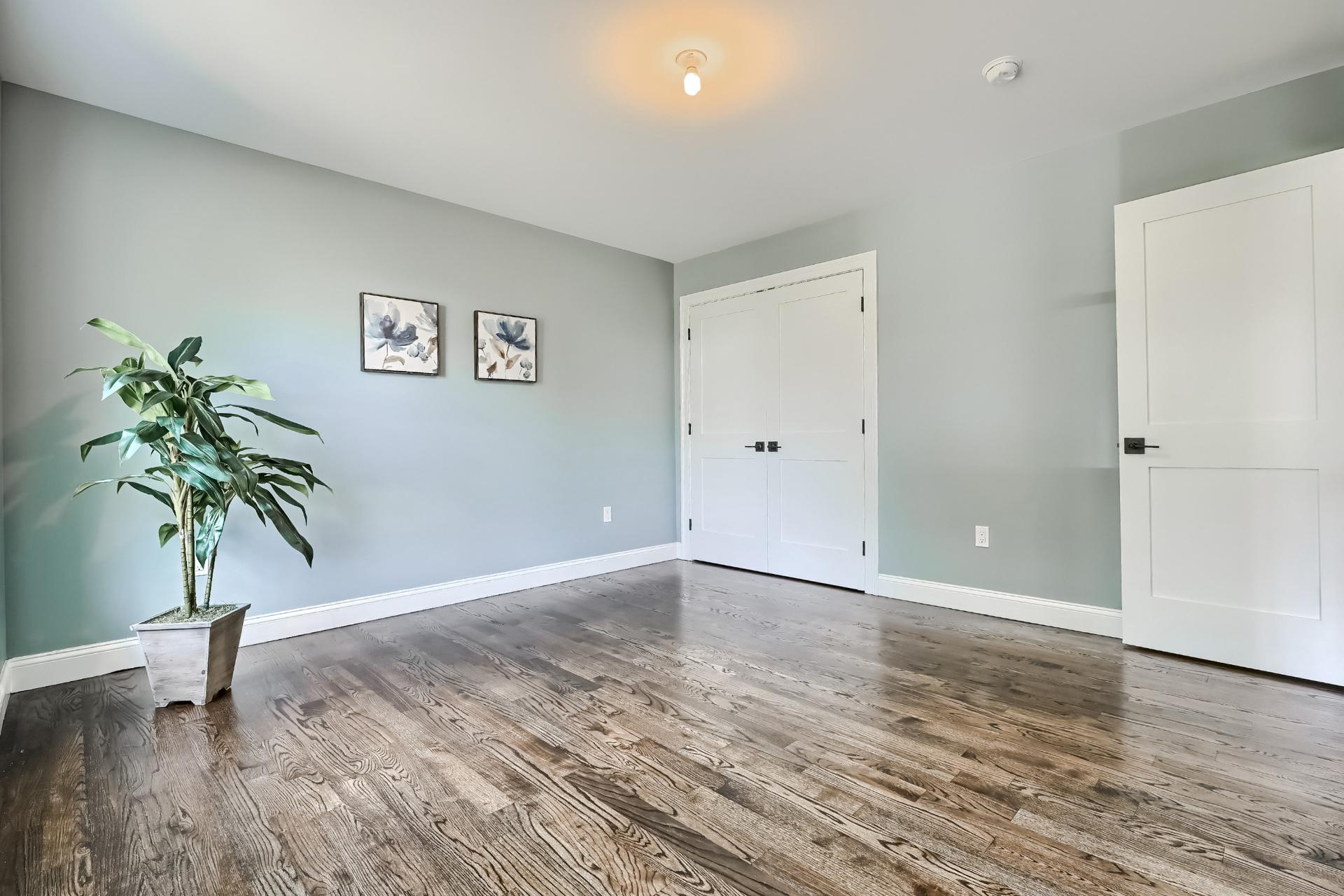 There is a plant in the middle of the room.