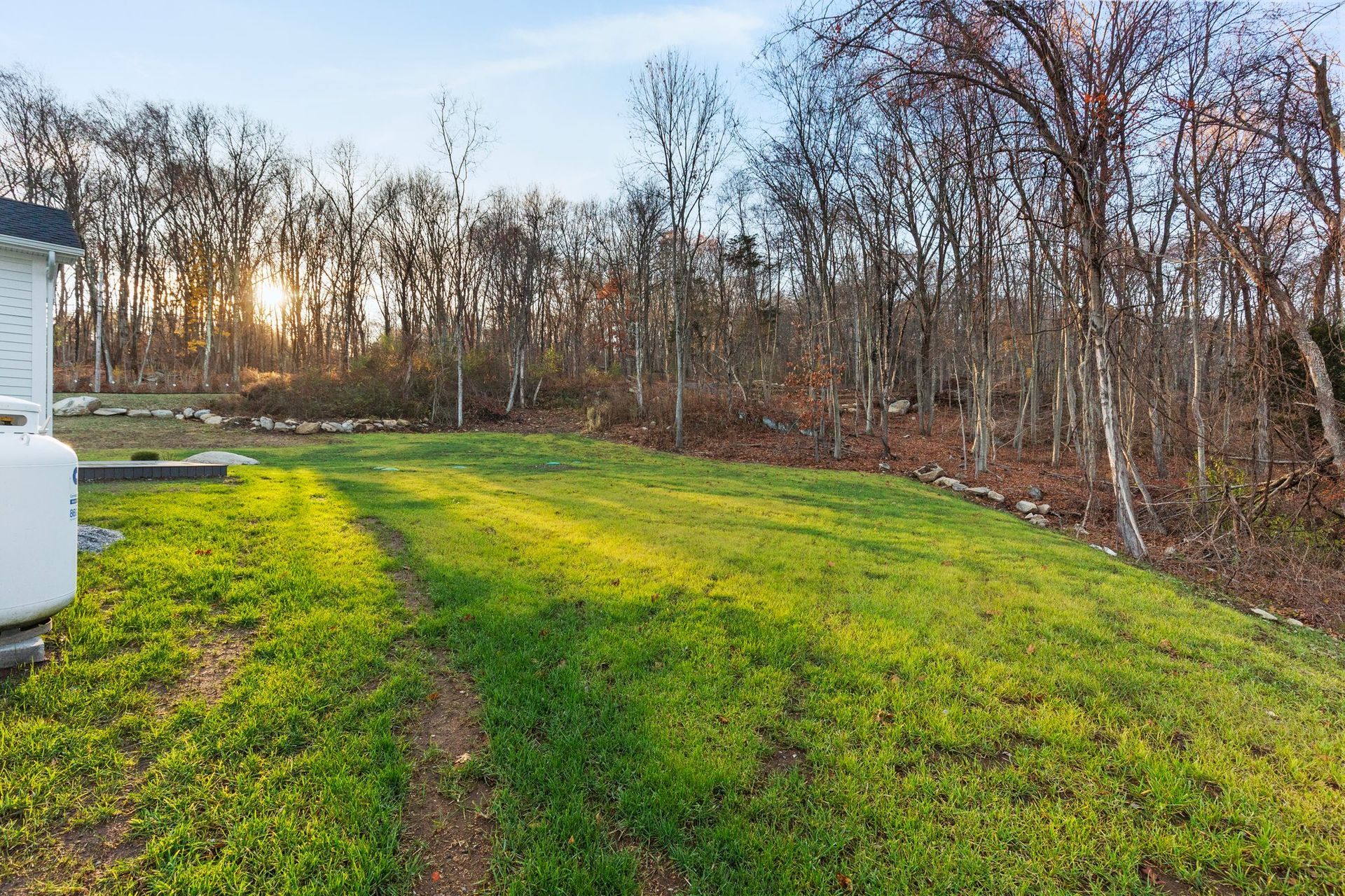 A lush green field with trees in the background