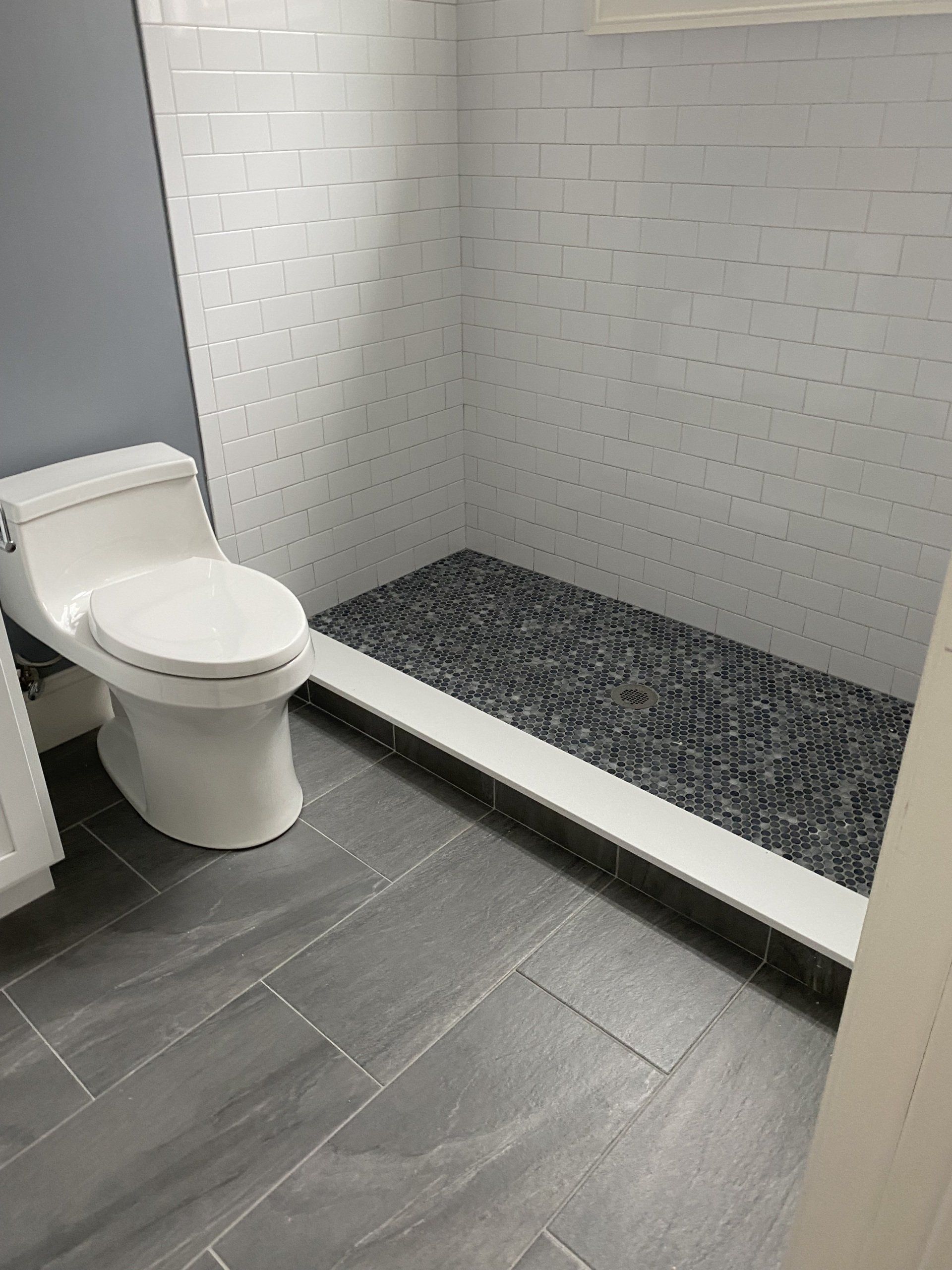 A bathroom with a toilet and a walk in shower.