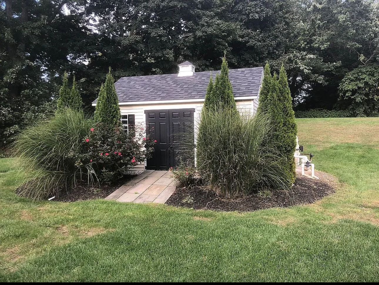 A small white house is surrounded by trees and bushes in a grassy yard.