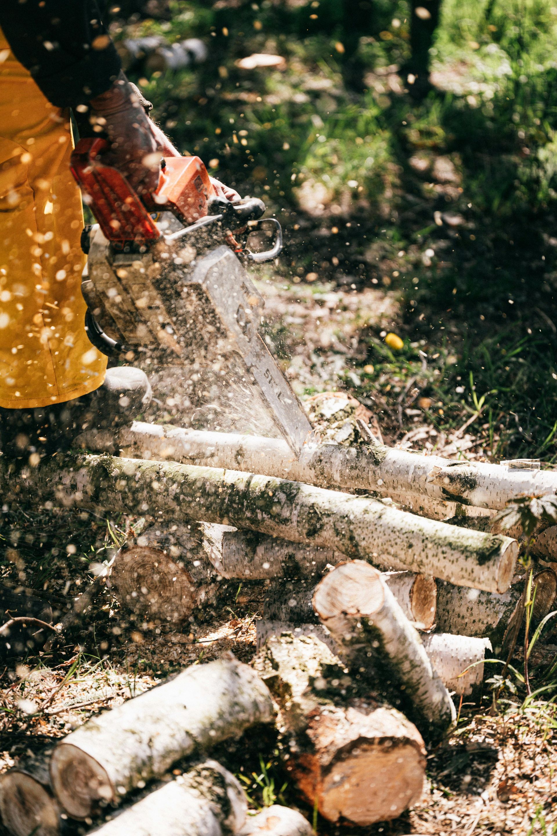 A person using a chainsaw to cut logs outdoors, wood chips flying.