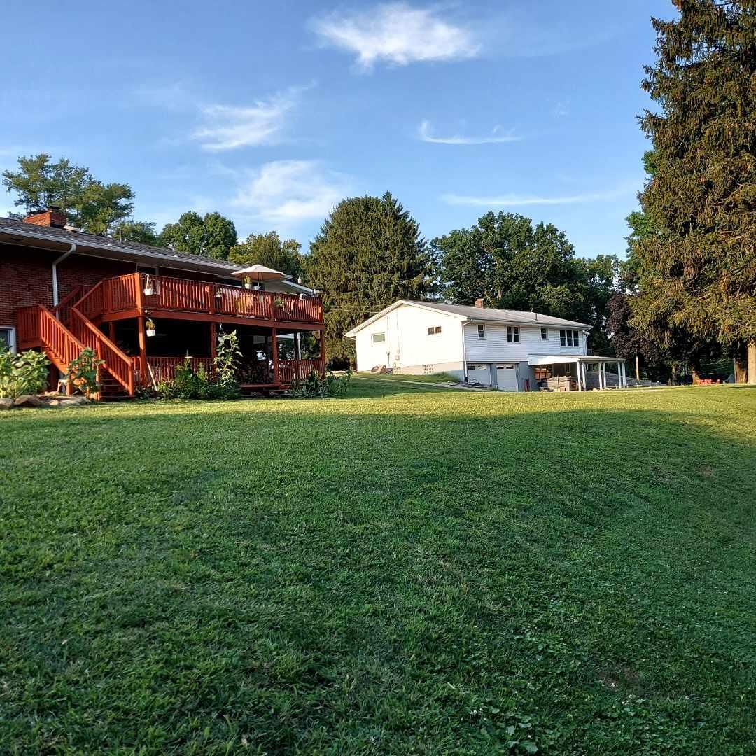 Two houses and grassy yard under blue sky with trees.