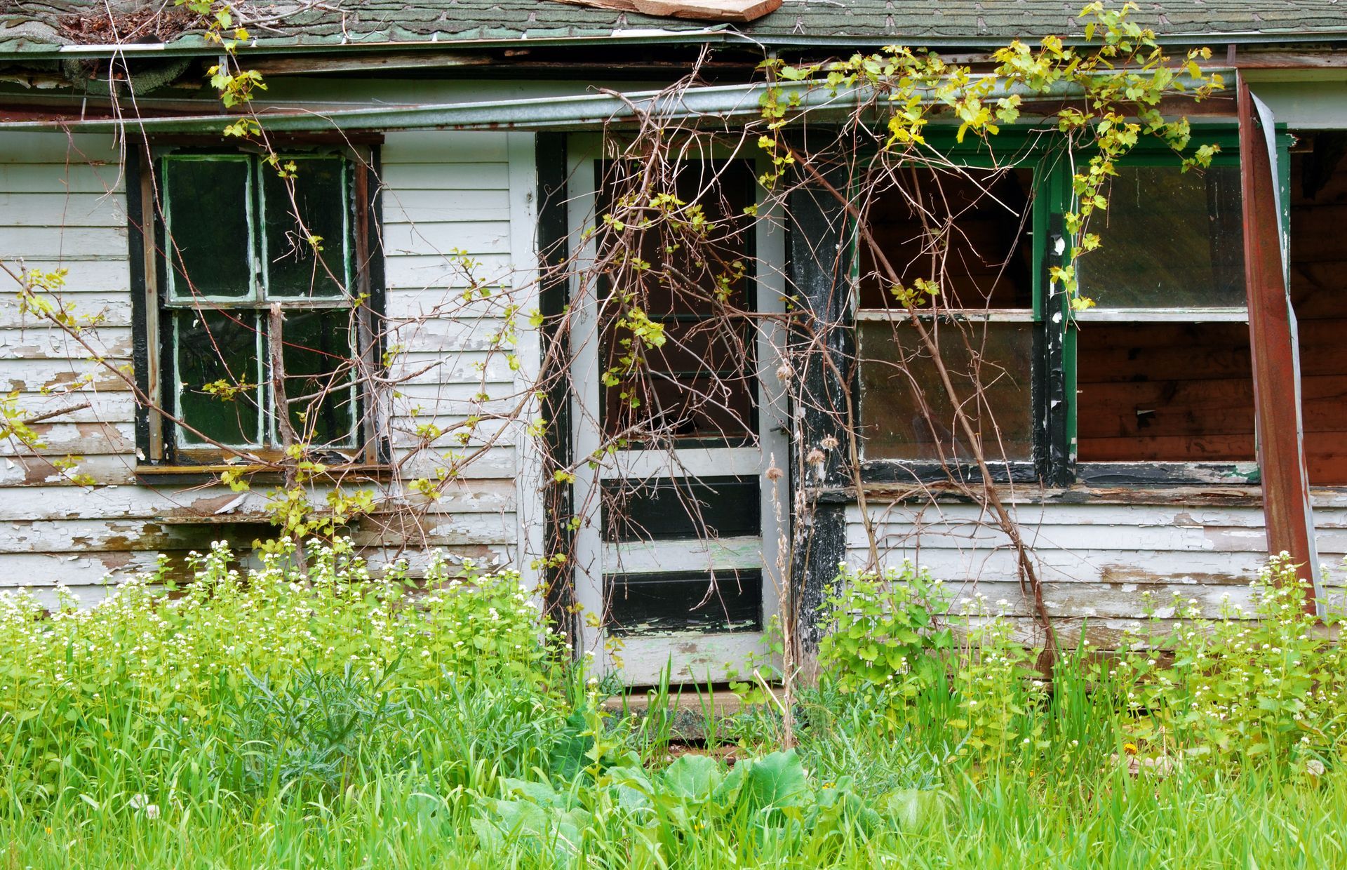 An old abandoned house with a green door and windows