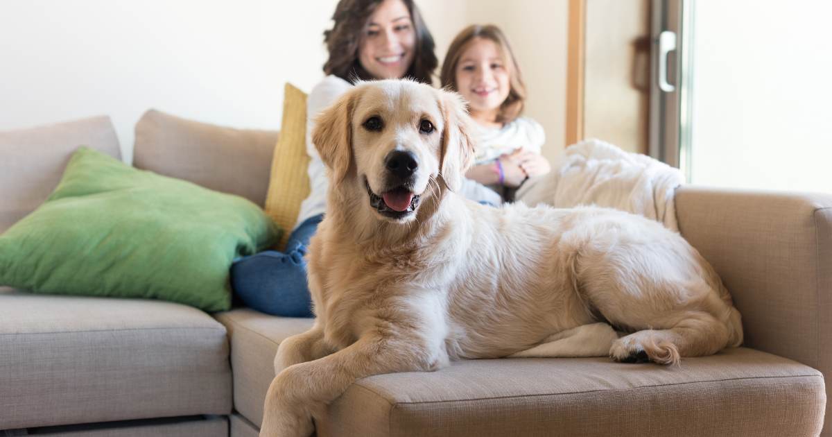 A woman and a child are sitting on a couch with a dog.