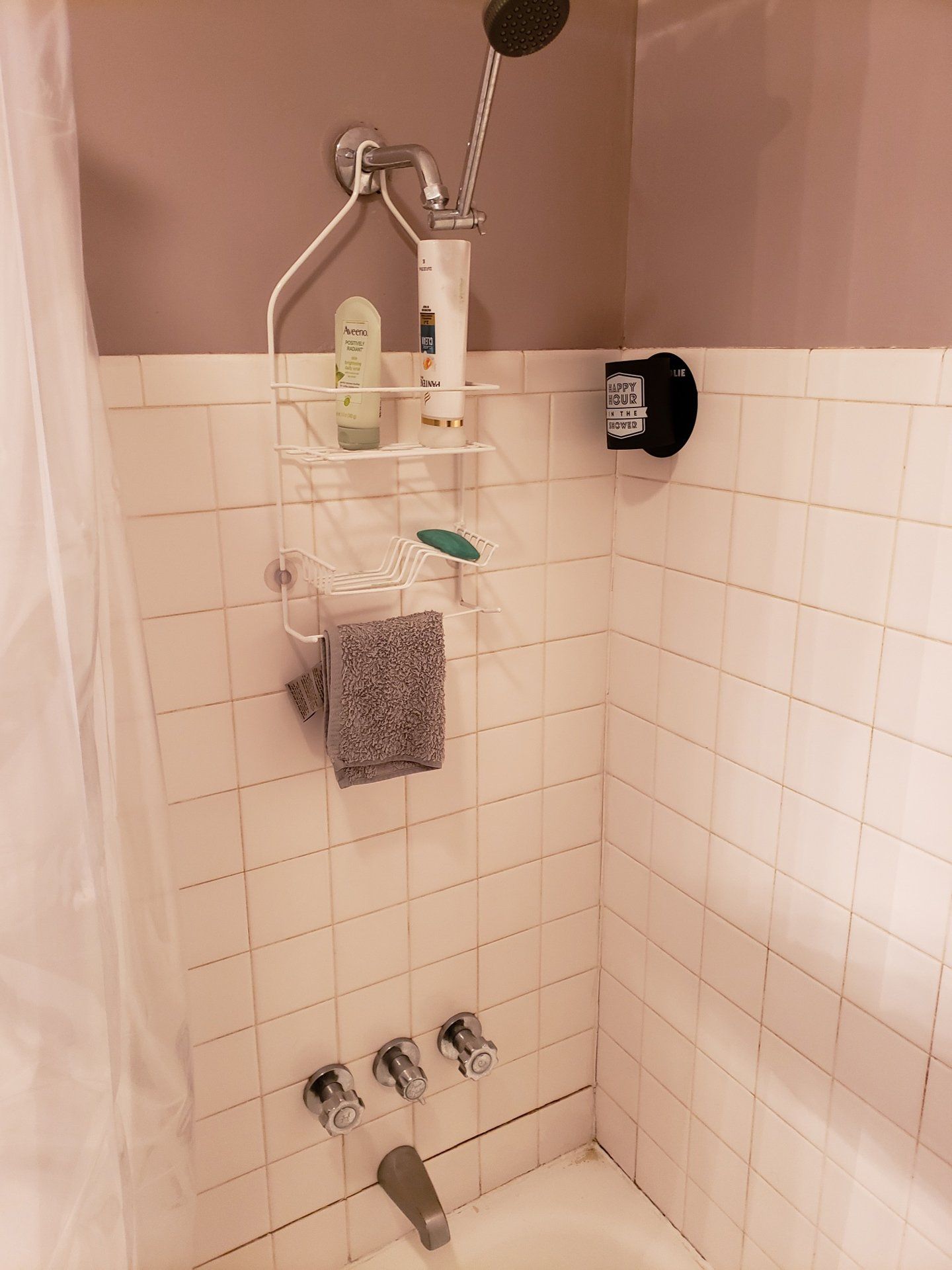 Kimball Residence - Before Fixtures Renovation