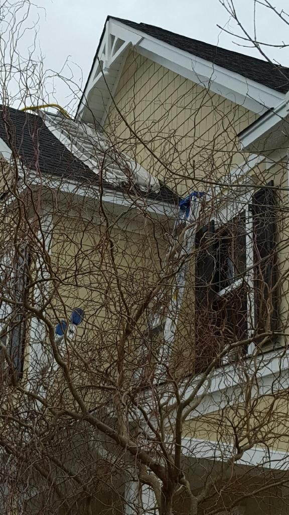 A yellow house with a black roof and a tree in front of it.