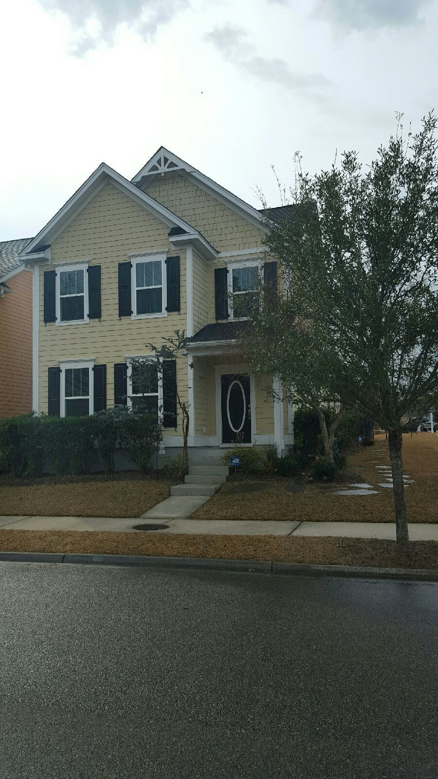 A large yellow house with black shutters and a tree in front of it.