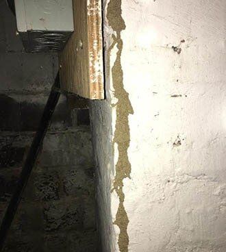 Termite Mud — termite control in Johnstown, PA