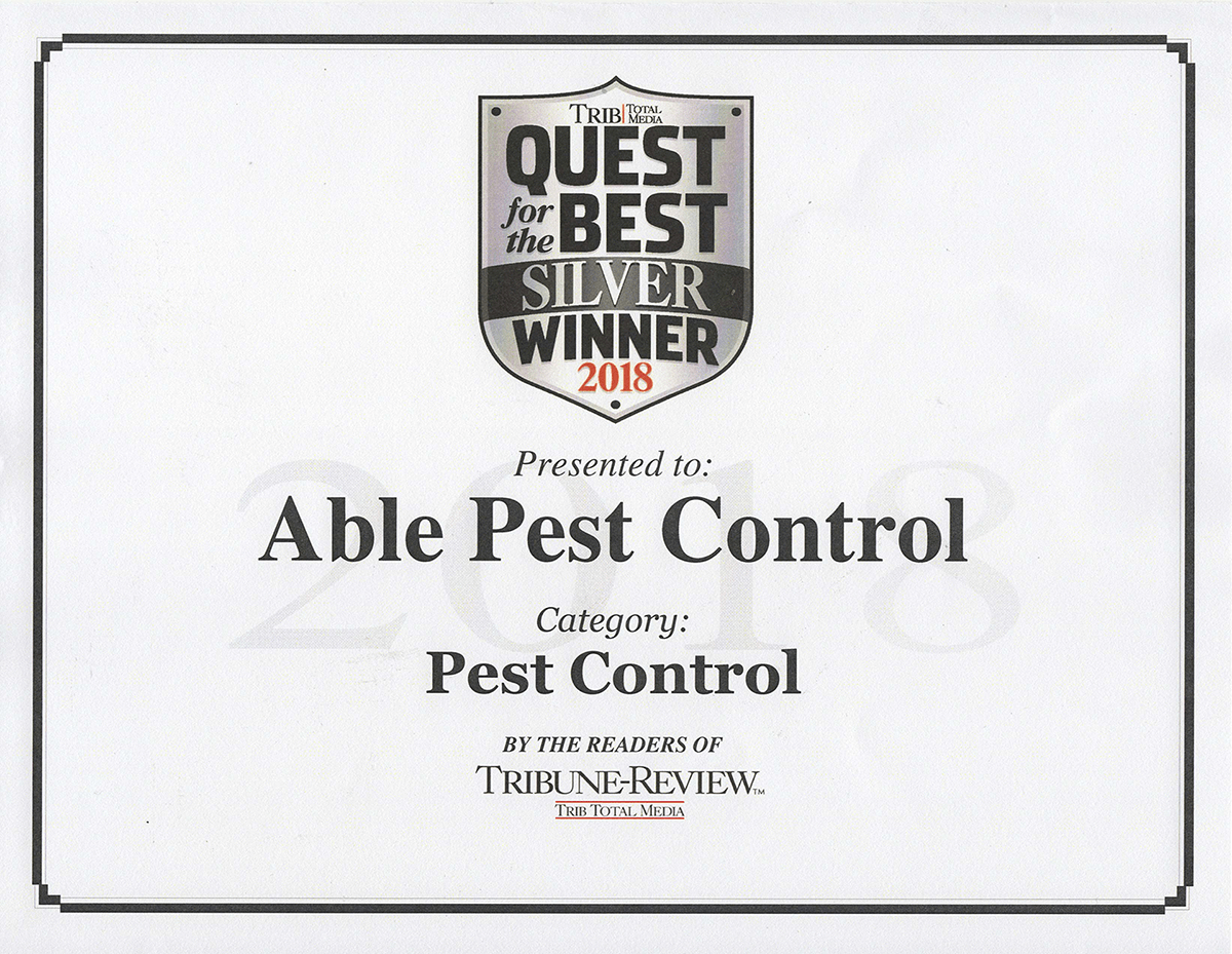 Rodent Protection Somerset, PA Able Pest Control