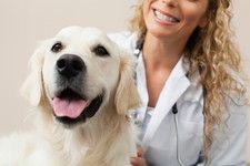 Smiling veterinarian in white coat with a happy golden retriever on a light background